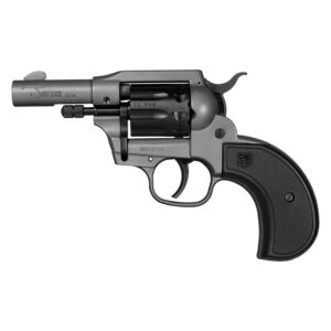 SIDEKICK 22LR/22M GR BIRDSHEAD - Diamondback Firearms