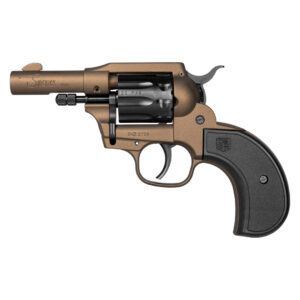 SIDEKICK 22LR/22M BZ BIRDSHEAD - Diamondback Firearms