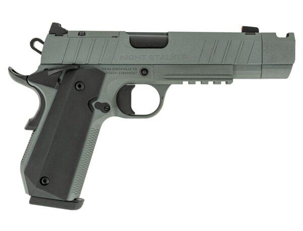 NIGHT STALKER COMP 45ACP GRY - Tisas
